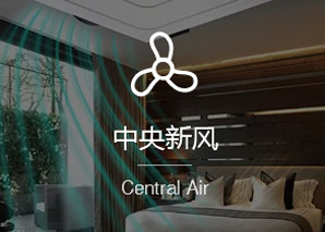 中央新风