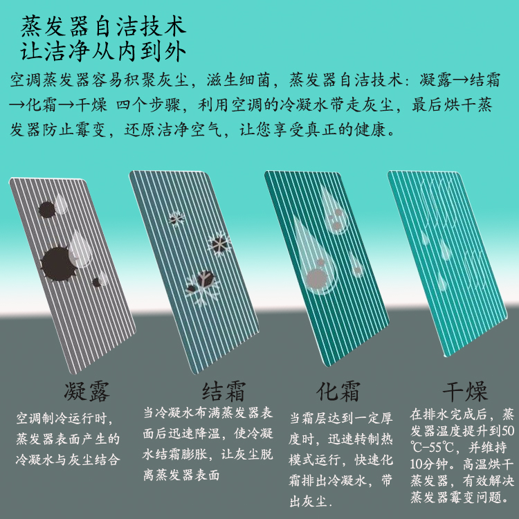 详情4.jpg