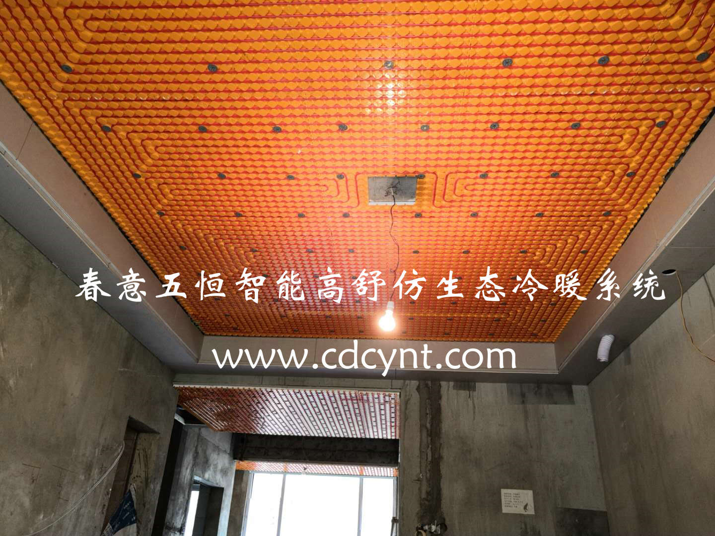 24389af3a885cacb294765aa0c9899b_副本.jpg