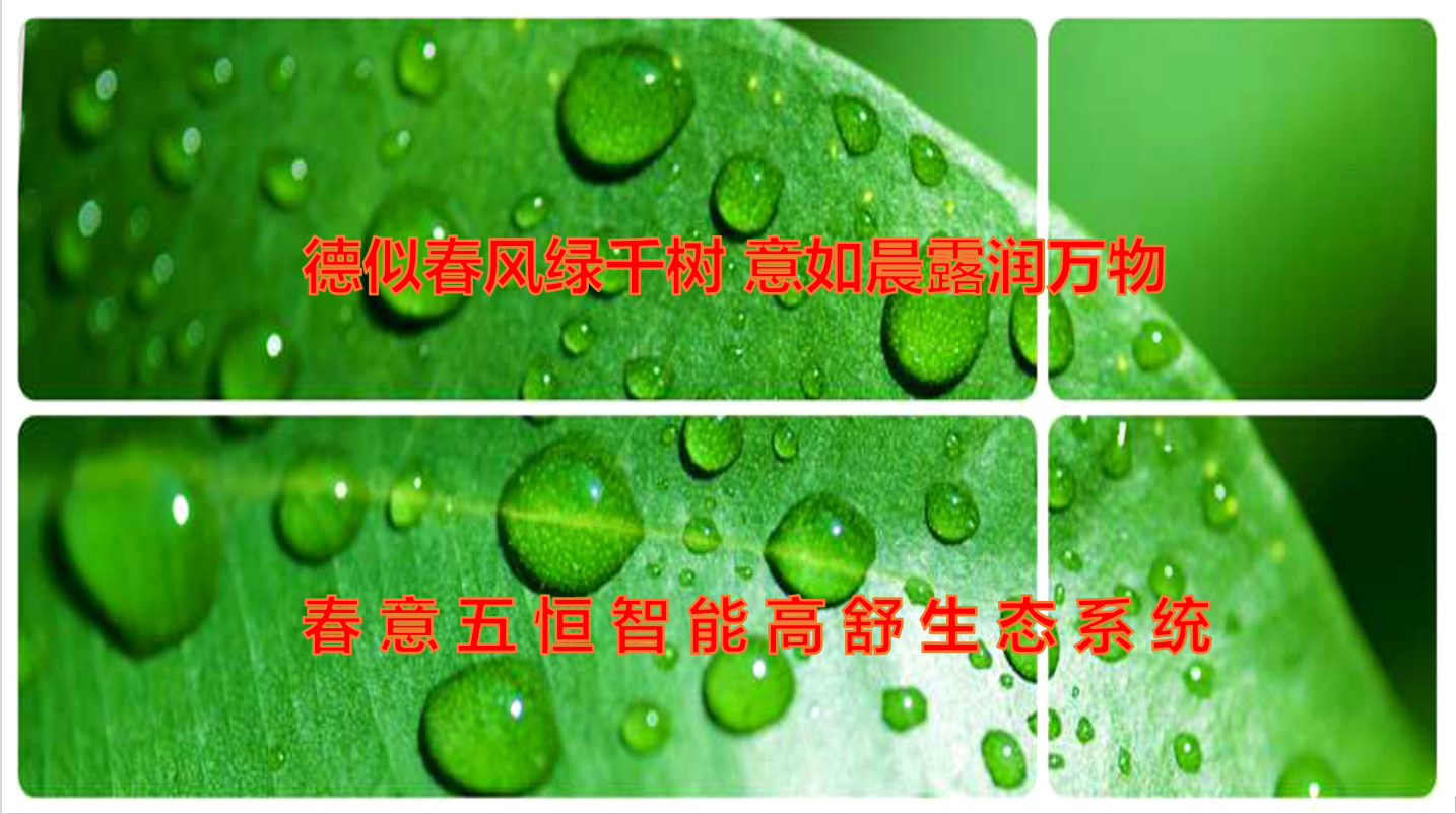 微信截图_20190614090449.png